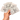 Tester