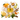 Solaris Elixir