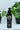 Baard shampoo - Barberium-Products